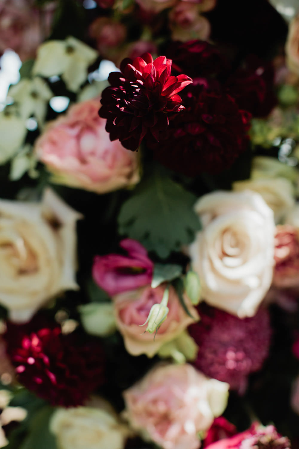 Floral-arbour-spicers-hiddenvale-wedding-ceremony