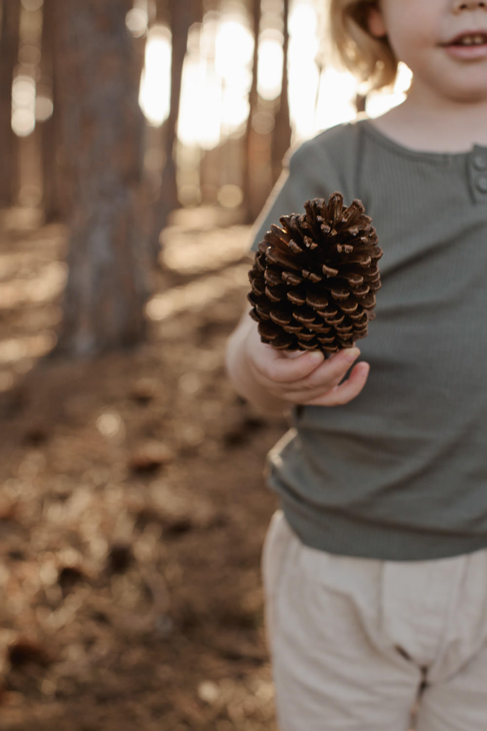Natural-family-photography-sunset-pinecone