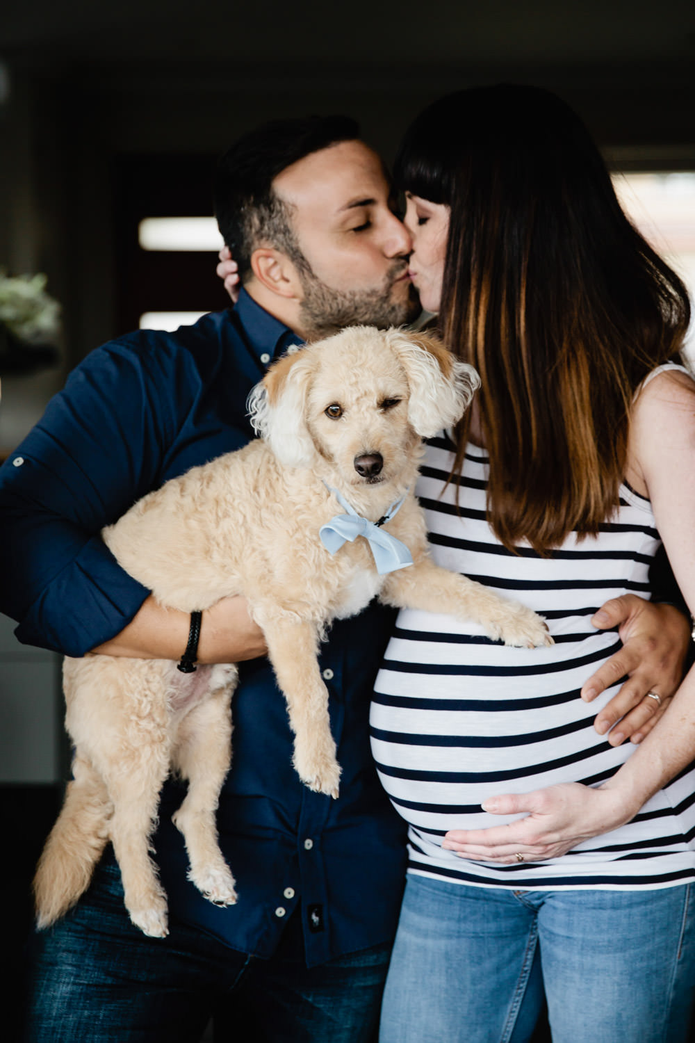 Family-with-dogs, simple and beautiful maternity photography in Brisbane- QuinceandMulberry