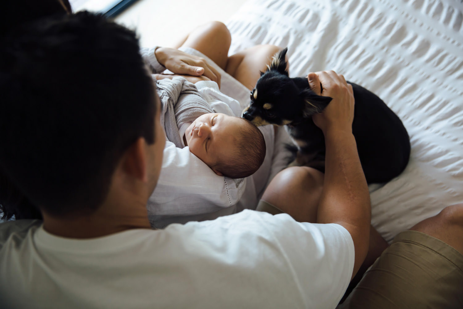 Family-with-pets, simple and beautiful maternity photography in Brisbane- QuinceandMulberry