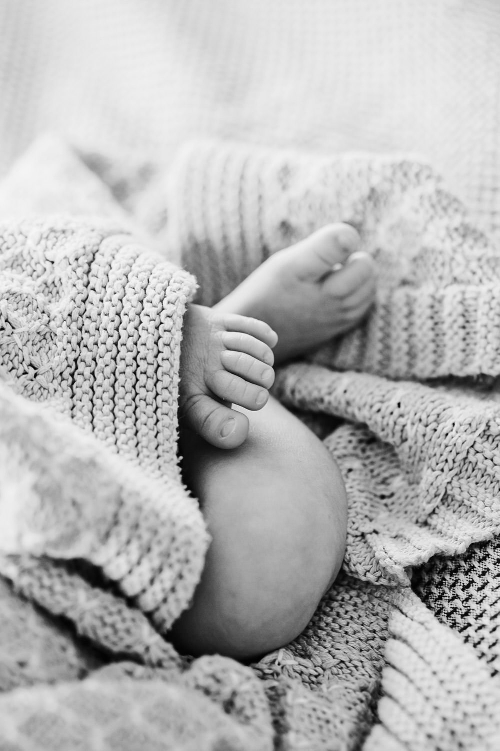 Natural-family with maternity-newborn-lifestyle-imagery- photography in Brisbane- QuinceandMulberry