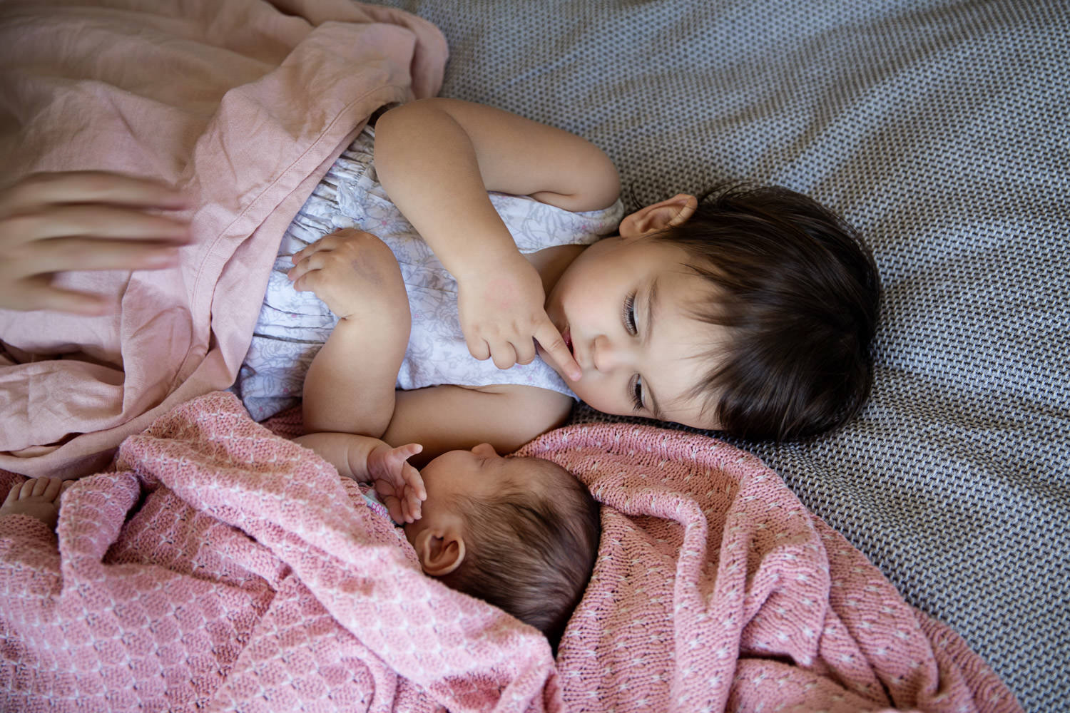 baby-sisters-Natural-family with maternity-newborn-lifestyle-imagery- photography in Brisbane- QuinceandMulberry
