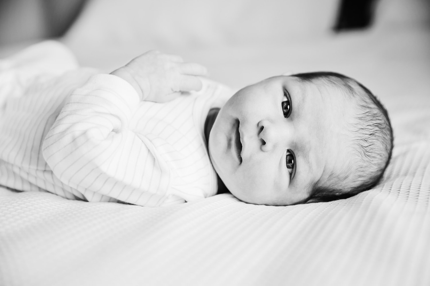 bewborn-baby-boy-Natural-family with maternity-newborn-lifestyle-imagery- photography in Brisbane- QuinceandMulberry