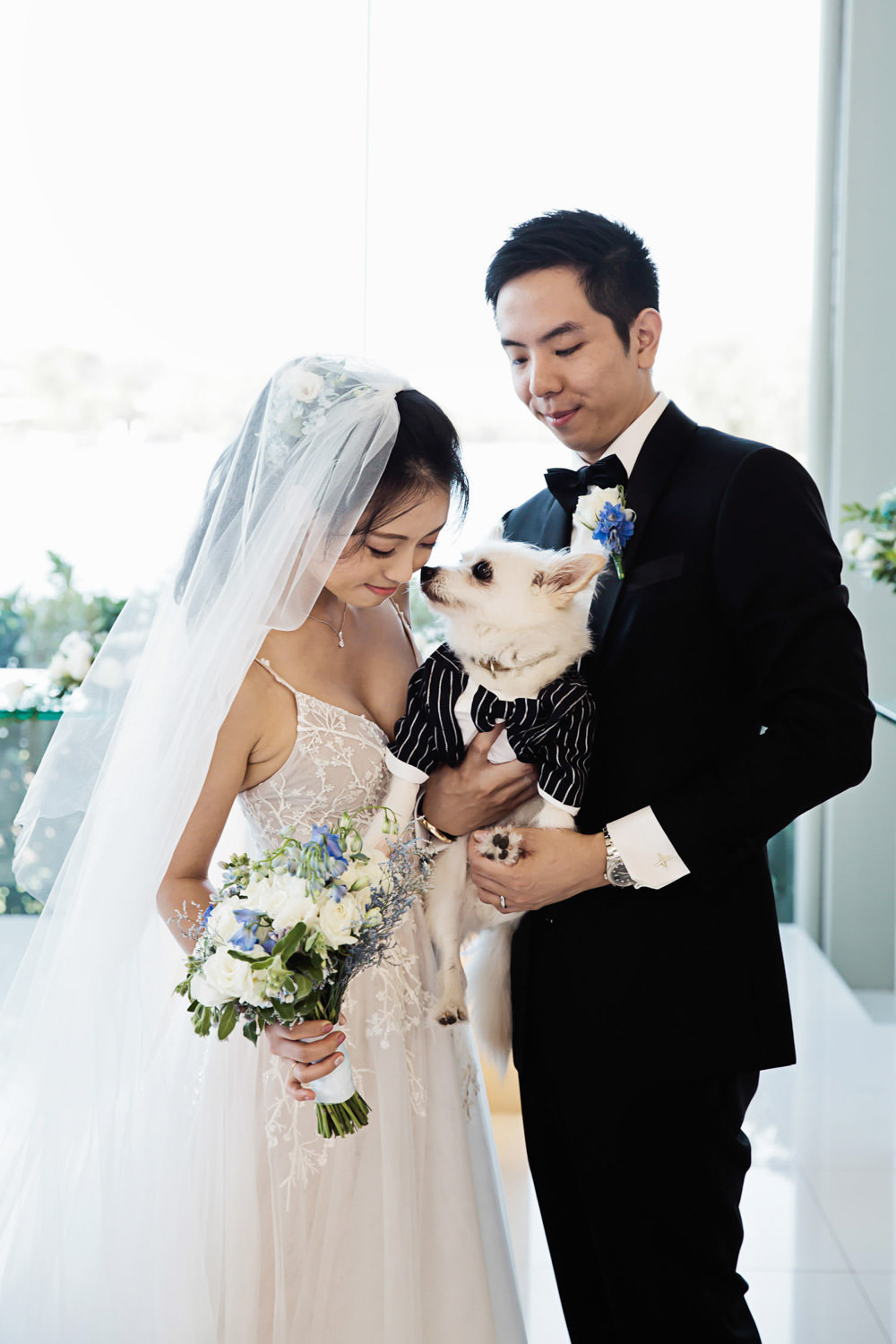 bride-and-groom-with-their-dog_Sanctuary-cove-wedding-photography_quincenmulberrystudios