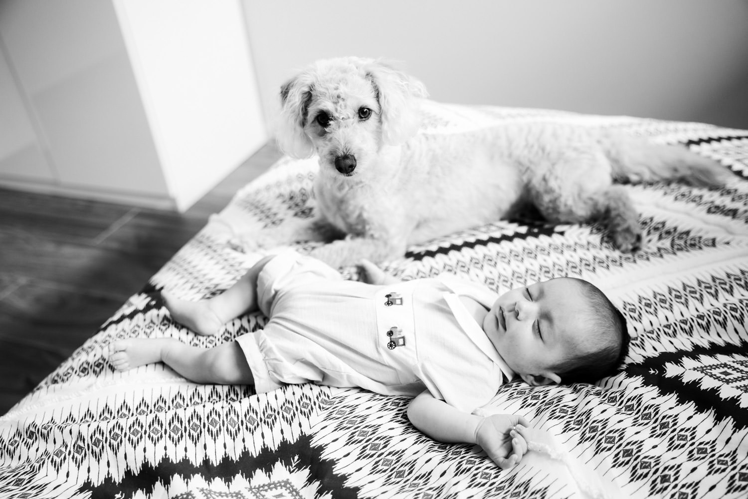 Natural-family with maternity-newborn-lifestyle-imagery- photography in Brisbane- QuinceandMulberry