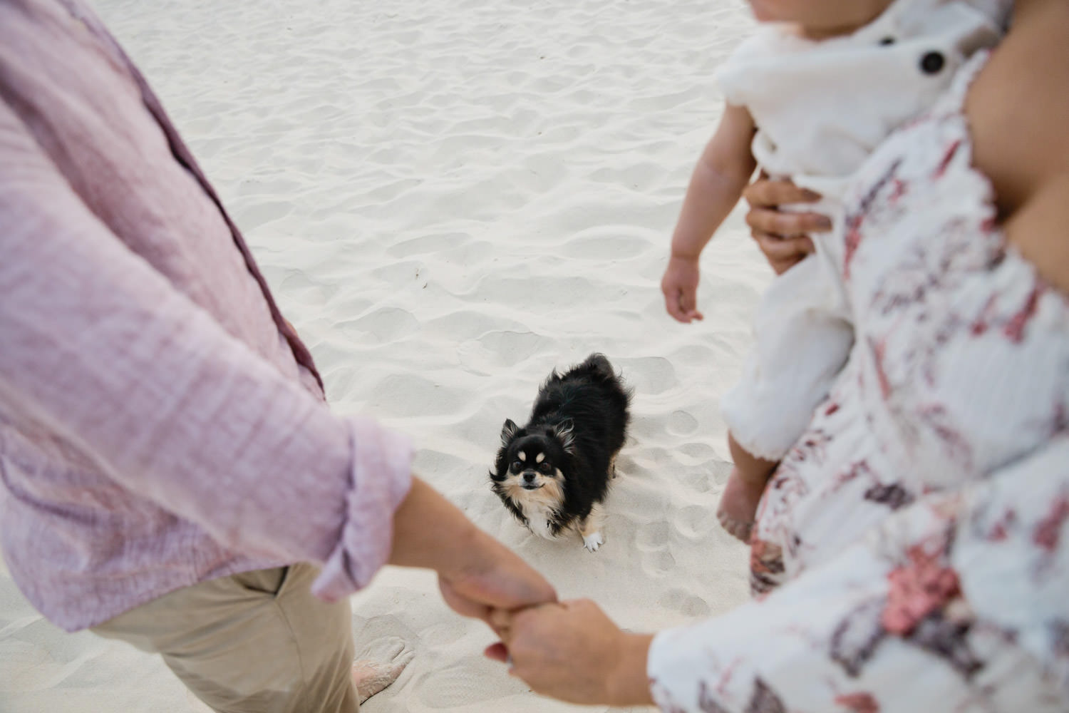 Children - Natural, playful, fun family photography in GoldCoast- QuinceandMulberry