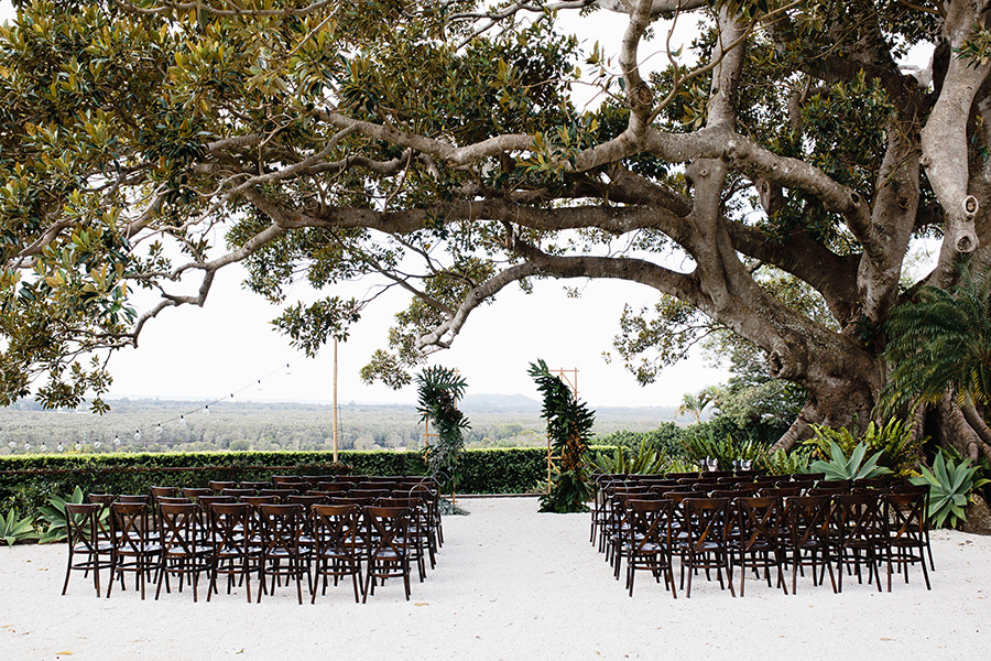 Fig-tree-Byron-Bay-wedding-ceremony-natural, fun, romantic-wedding-photography -QuinceandMulberryStudios